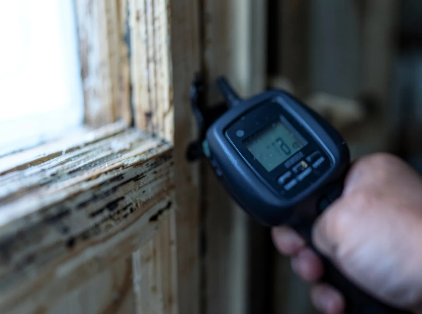 Commercial Water Damage Restoration in Weslaco, TX